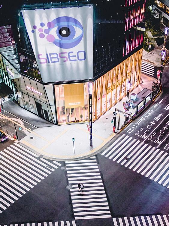 seo optimization seo optimization
